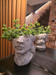 Loft Haven - Loftowa przystań