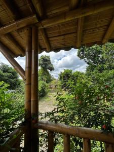 Finca Cafetera Madrigal - Café Sortiz