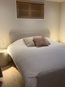 Duijnparadijs appartement 2