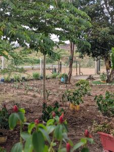 Saadani Pangani Camps && Tours