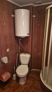 Карпатське сонце