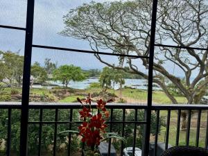 Ocean view Mauna Loa Shores Kai Ekahi #201 next to Carlsmith Beach Park Hilo HI