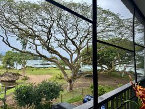 Ocean view Mauna Loa Shores Kai Ekahi #201 next to Carlsmith Beach Park Hilo HI