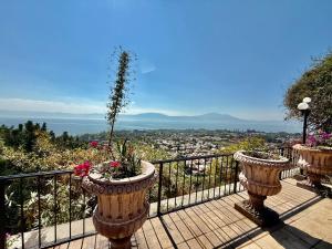 MiraLago Pool Paradise