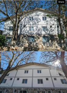 Vama Stone House