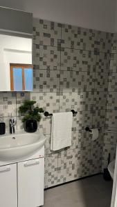 Studio Yas Central Arad