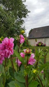 B&B / Chambres d'hotes La Ferme du bois Paris : photos des chambres