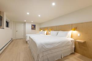 Modern King-Size Guest Suite with AC
