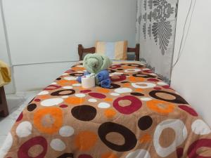 hostal kactus