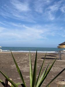Radisson Blu Apartment Alhoceima Beach Access