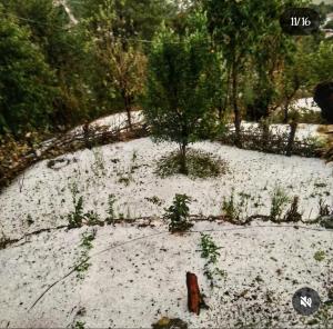 Harender nayal homestay