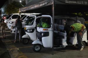 El jardín de la victoria