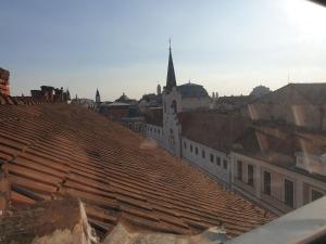 Attic apartment in downtown Oradea