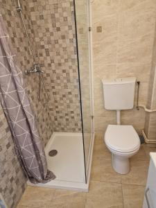 Attic apartment in downtown Oradea