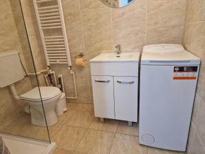 Attic apartment in downtown Oradea