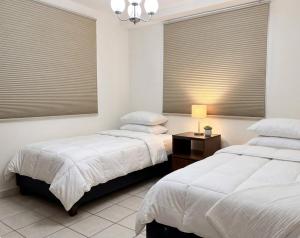 Apartment a 3-minute walk from Tec #2