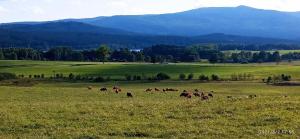 Maňava chalupa Lipno