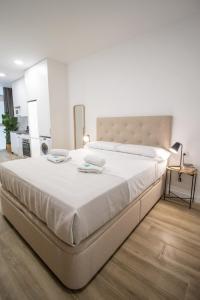 Beautiful loft next to the Turia River gardens