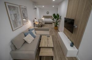 Beautiful loft next to the Turia River gardens