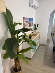 Brisas del mar