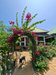 Family House