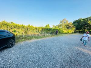 Quiet Retreat Near Airport & City Access