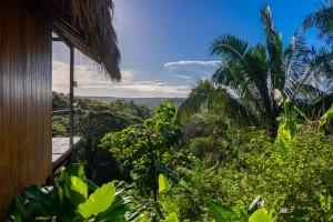 Casa Canopy