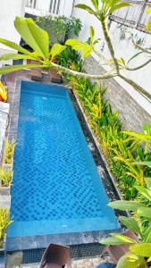 Cozy Guest House