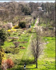 Garden View Apartment