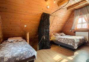 Oaza Tatry II