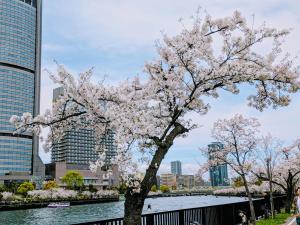 Os Apartment Hotel In Kyobashi 3FA