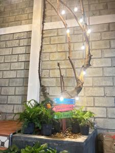 Nhà 7 Homestay Phú Yên