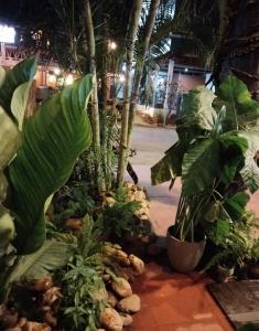 Vinla Guesthouse & Backpackers Hostel