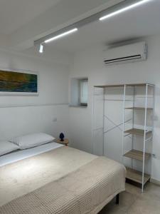 Tribunali apartments