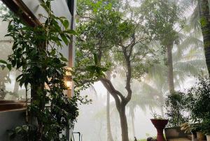 New Heights Antipolo Your city escape