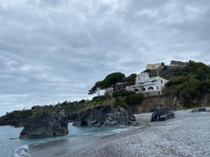 Appartamento Vergine