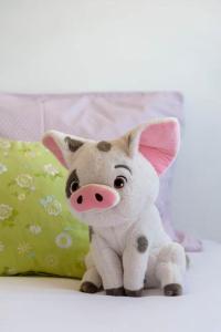 Spectacular view of Porto and Douro-Free Parking