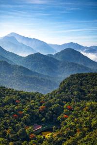 Jungle Park Resort-Rain Forest Experience by GreenEscapes