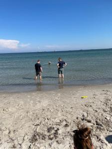Oddevej 20 Skagen