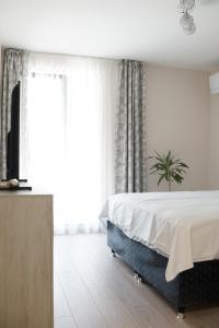 Todorovi apartments 3