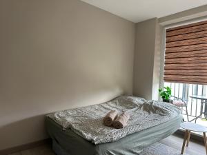 Mėguvos studio flatas