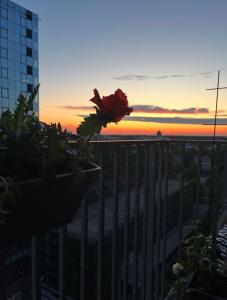 OFFICE DISTRICT 11 floor apartment