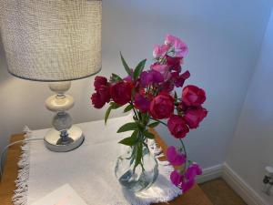 Ensuite Room Exeter near Hospital, St Lukes, County Hall