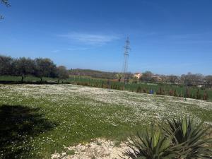 Vista Verde