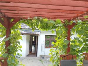 Roubenka Zuzanka 1620 - Máchovo jezero, Kokořínsko