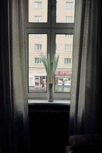 Cozy small apartment