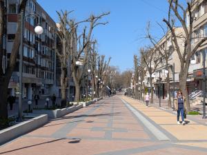 Downtown Apartment By the Lindens