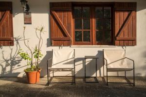 Bright 1BR Stay near Nature, Beaches & Restaurants