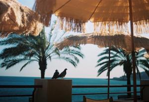 Bright 1BR Stay near Nature, Beaches & Restaurants