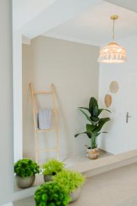 Boho - Suites 5-2